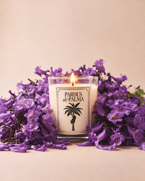 Jacarandas